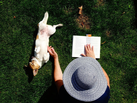 Libros imprescindibles para amantes de los perros - astorpet