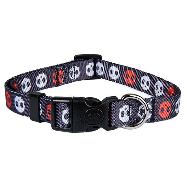 Astorpet Collar para Perro ajustable con cierre seguridad. Modelo CORSO - astorpet