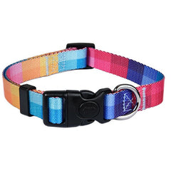 Astorpet Collar para Perro ajustable con cierre seguridad. Modelo GEMINIS - astorpet