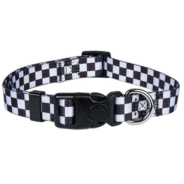 Astorpet Collar para Perro ajustable con cierre seguridad. Modelo JAQUE - astorpet