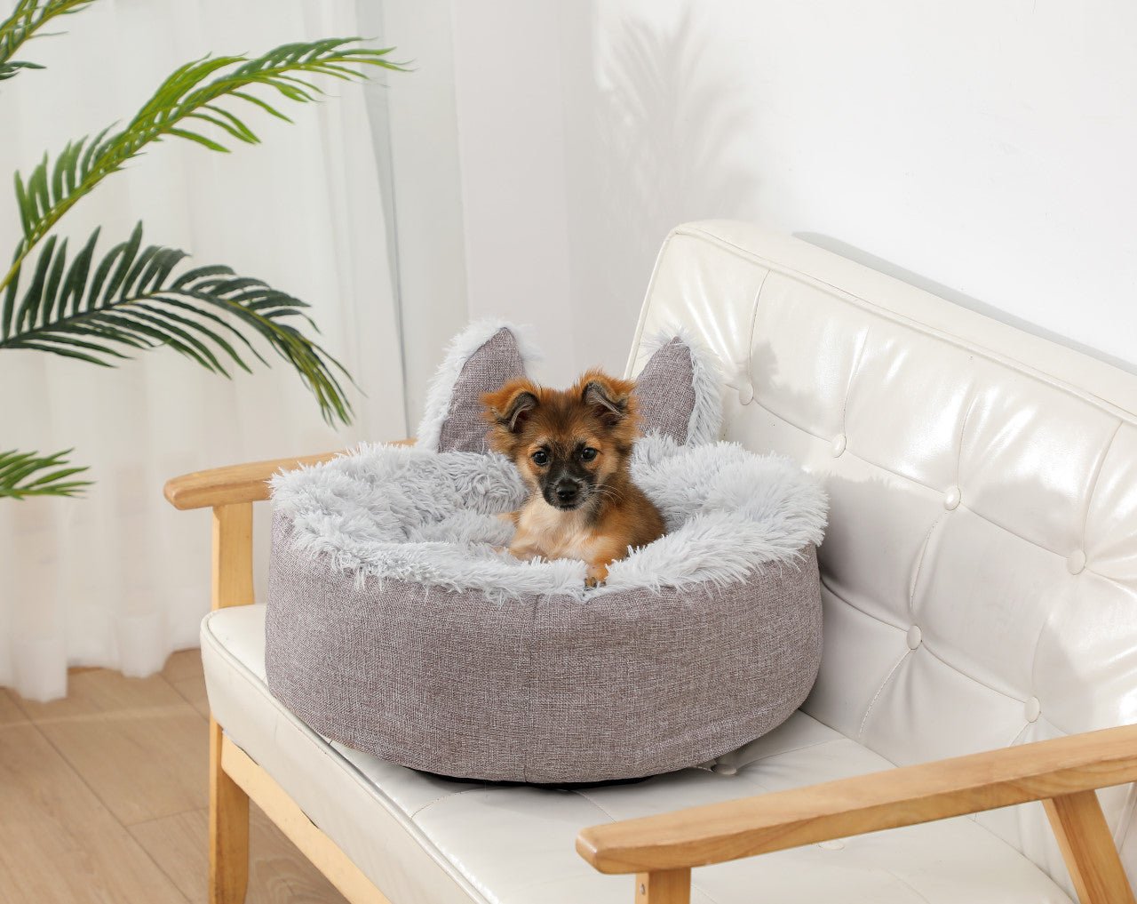 Cama Foxy - astorpet