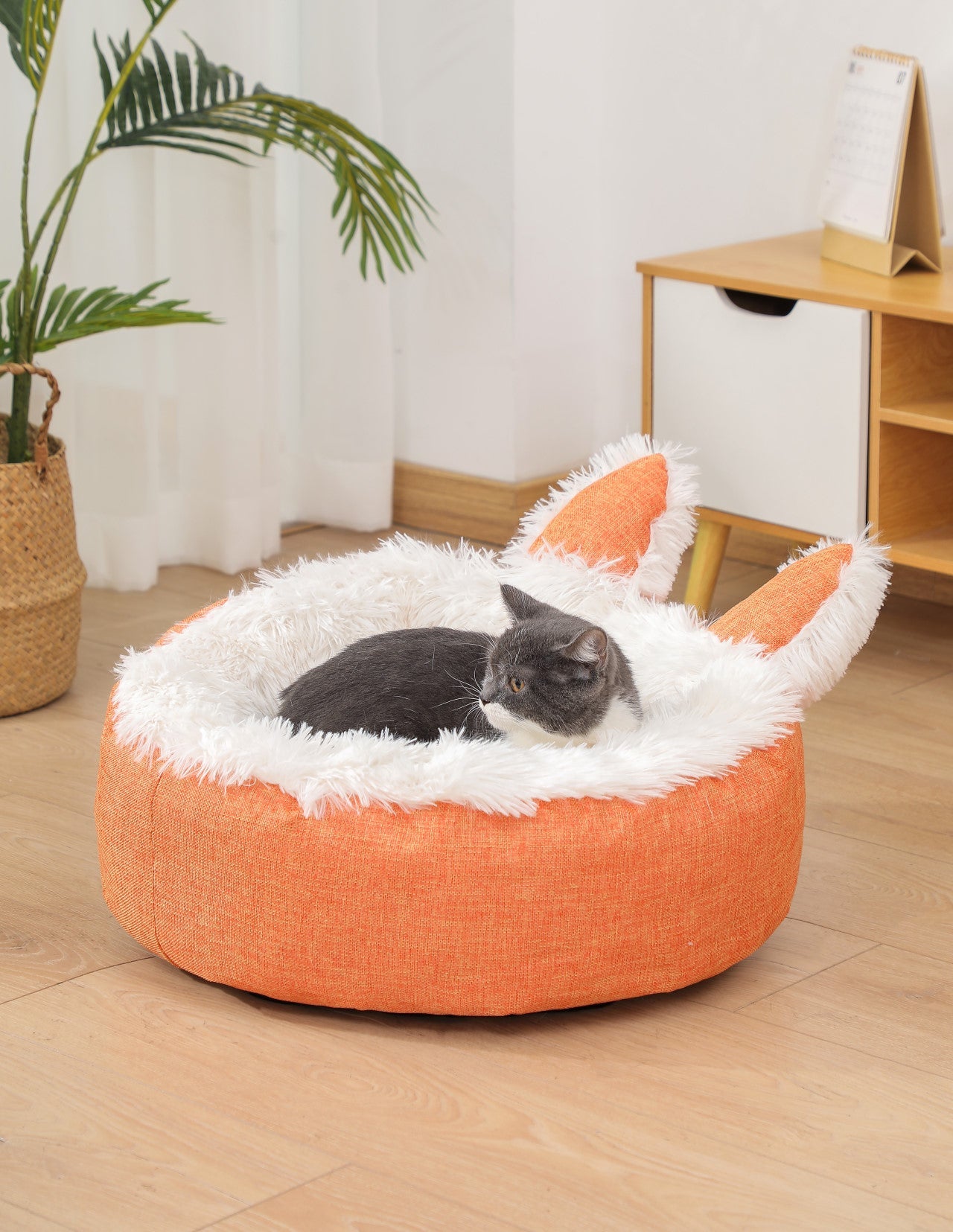 Cama Foxy - astorpet