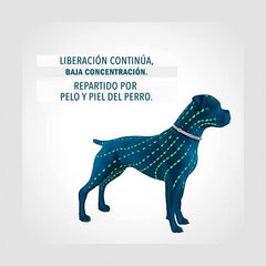 Collar Antiparasitario Gris para Perro - astorpet