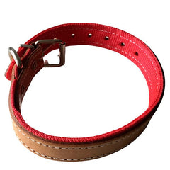 Collar de Cuero y Nylon Rojo / Patacho - astorpet