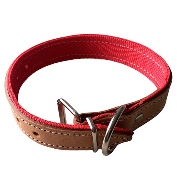 Collar de Cuero y Nylon Rojo / Patacho - astorpet