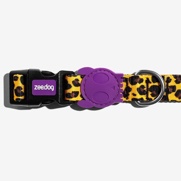 Collar Perro Zee.Dog Modelo HONEY - astorpet